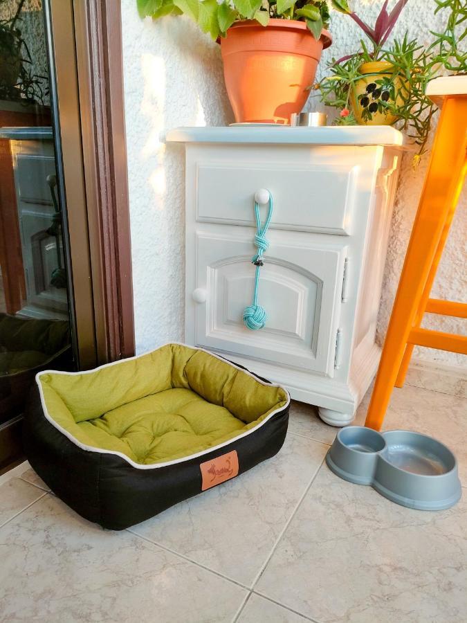Apartament Playa Del Ingles, 4 Min A Pie De La Playa Maspalomas  Zewnętrze zdjęcie